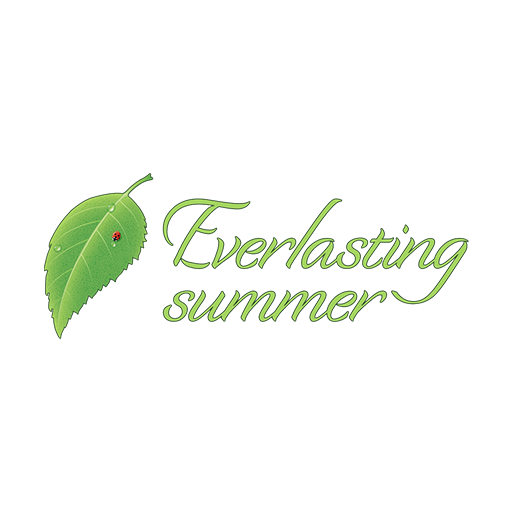 logo Бесконечное Лето